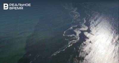 В Минприроды России считают, что загрязнение океана на Камчатке вызвано техногенными причинами