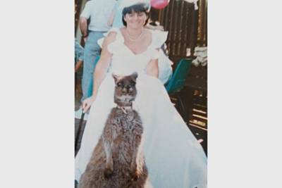 Женщина пригласила на свадьбу кенгуру и получила «лучшую в мире» фотографию