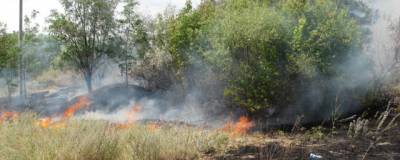 На Донбассе еще активны четыре лесных пожара