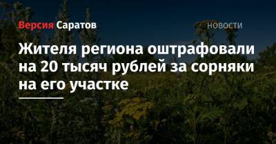 Жителя региона оштрафовали на 20 тысяч рублей за сорняки на его участке