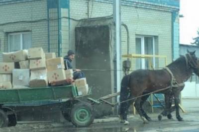 Быстро и надежно: В Дубно сотрудников "Новой Почты" пересадили на лошадей