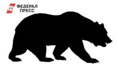 Смотритель московского цирка умер после нападения медведя