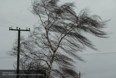 Опасный ветер прогнозируют синоптики на побережье Магаданской области