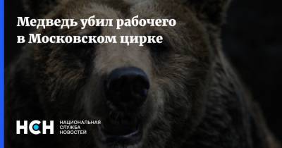 Медведь убил рабочего в Московском цирке