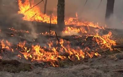В МВД назвали возможные причины пожаров в Луганской области