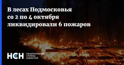 В лесах Подмосковья со 2 по 4 октября ликвидировали 6 пожаров