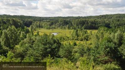 Минприроды отремонтировало пять дамб в Калининградской области