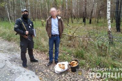 Мужчина пытался вынести из Чернобыля 8 кг радиоактивных грибов