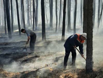 На Луганщине спасли от огня две электроподстанции