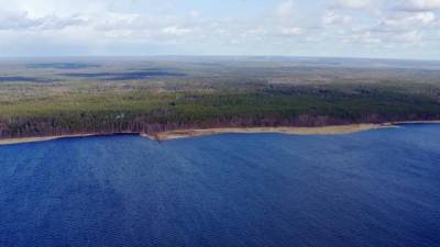 Ленобласть во вторник накроет дождем