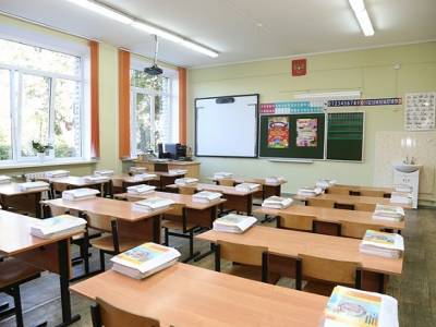 Школьников в Петербурге могут досрочно отправить на каникулы