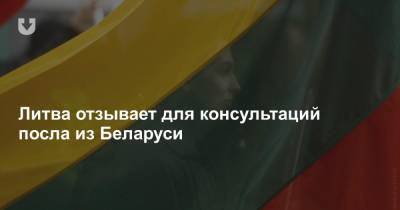 Литва отзывает для консультаций посла из Беларуси