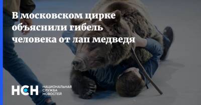 В московском цирке объяснили гибель человека от лап медведя - nsn.fm