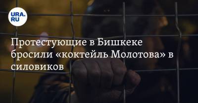 Протестующие в Бишкеке бросили «коктейль Молотова» в силовиков