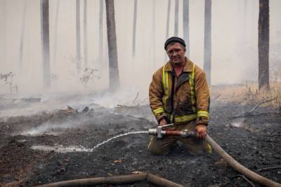 Пожары в Луганской области: спасатели сбросили почти 240 тонн воды и ликвидировали огонь на восьми очагах из десяти (фото, видео)