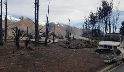 В Новой Зеландии начались масштабные лесные пожары