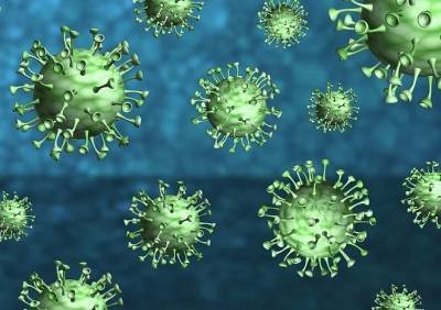 Люди, переболевшие ОРВИ, могут иметь иммунитет к коронавирусу