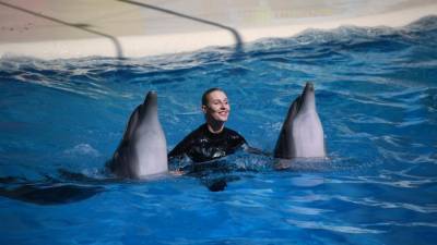 Во Франции хотят запретить держать диких животных в цирках и дельфинариях