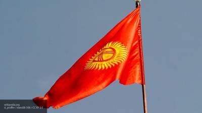 Депутат ГД Шеремет назвал беспорядки в Бишкеке попыткой "цветной революции"