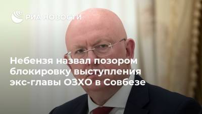 Небензя назвал позором блокировку выступления экс-главы ОЗХО в Совбезе