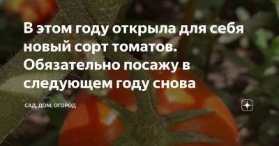 В этом году открыла для себя новый сорт томатов. Обязательно посажу в следующем году снова