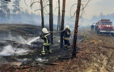 В Луганской области ликвидировали один из очагов пожаров