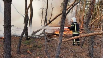 Пожары в Луганской области: ликвидировано уже восемь из десяти очагов