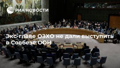 Экс-главе ОЗХО не дали выступить в Совбезе ООН