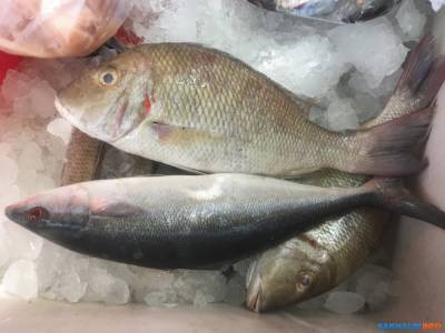 В Южно-Сахалинске продают доступную рыбу