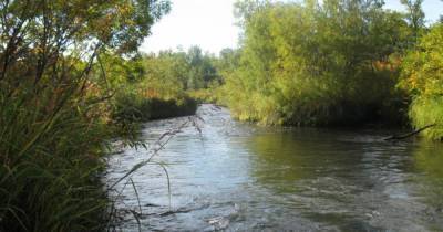 В реке на Камчатке обнаружены плотные отложения на дне
