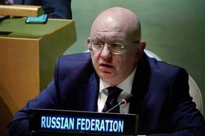В России назвали позором блокировку выступления бывшего главы ОЗХО в Совбезе ООН