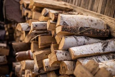 Власти намерены серьёзно урезать норму заготовки дров для забайкальцев