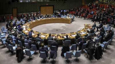 Западные страны заблокировали выступление экс-главы ОЗХО в Совбезе ООН