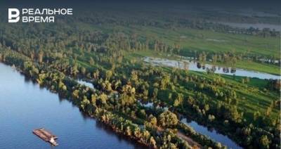 В Татарстане к 2023 году определят границы семи лесничеств