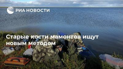 Старые кости мамонтов ищут новым методом