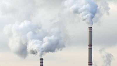 В Воронеже дрожжевой завод вновь уличили в загрязнении воздуха