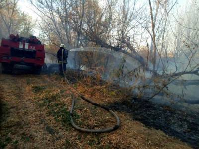На Луганщине продолжают тушить два очага пожаров: оперативная информация