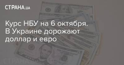 Курс НБУ на 6 октября. В Украине дорожают доллар и евро