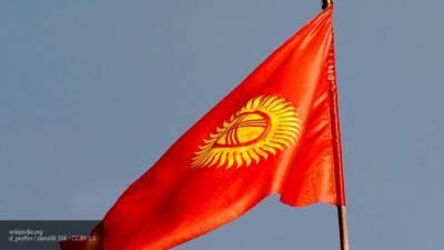 Посольство РФ призвало киргизов к урегулированию ситуации в правовом поле