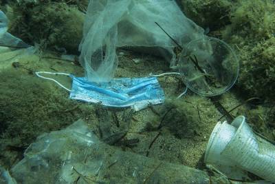 Исследование: на морском дне лежит 14 миллионов тонн микропластика