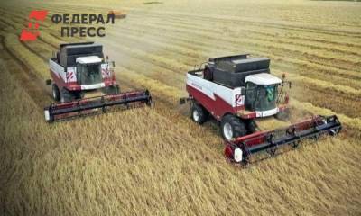 Ялуторовские земледельцы посеяли 5 тысяч тонн зерновых под будущий урожай