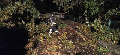 В Ивано-Франковске непогода снесла деревья, крыши и повредила машины