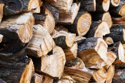 Городские службы выполнили более двух тысяч заявок на доставку дров