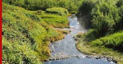 Ученые обнаружили «странности» в одной из рек на Камчатке