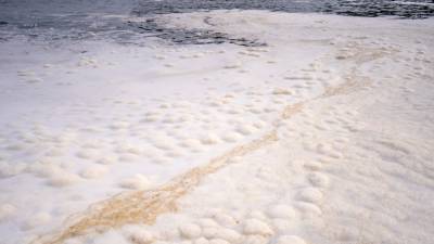 Учёные обнаружили странный цвет воды в одной из рек на Камчатке
