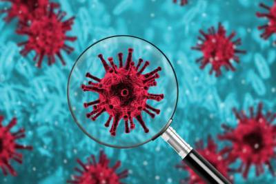В Краснодарском крае выявили 96 зараженных коронавирусом за день