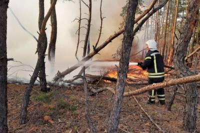 Пожары в Луганской области: Из 10 основных очагов пожаров лесных массивов, камыша и сухой растительности 8 очагов ликвидировано, 2 ячейки локализован