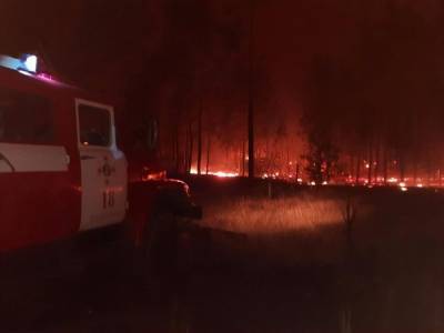 НМ ЛНР: за прошедшие сутки ликвидировано 330 очагов пожаров