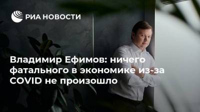 Владимир Ефимов: ничего фатального в экономике из-за COVID не произошло