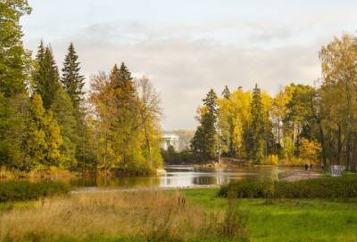 Выборгский «Монрепо» вошел в ТОП-10 лучших парков России для осенних прогулок